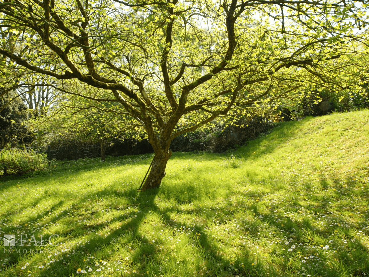 Sonniger Garten